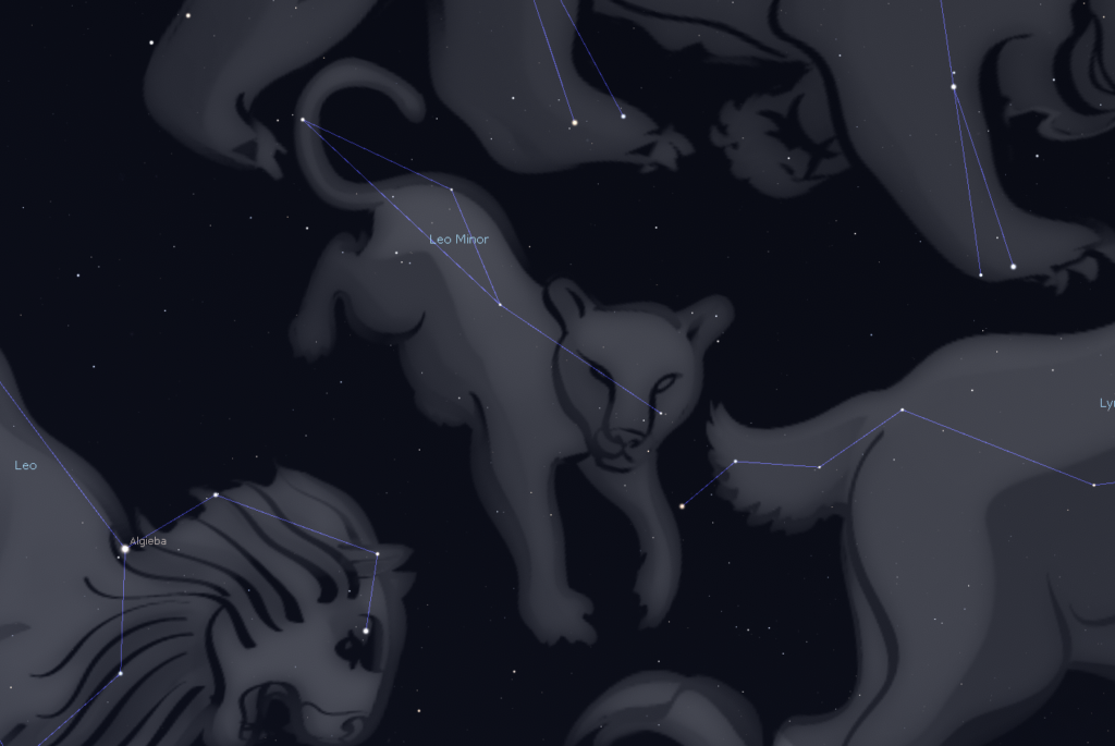 Leo minor constellation with art